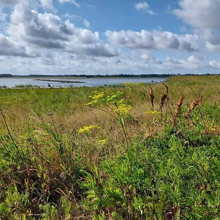 Dom wakacyjny 8 Person In Bogense-by Traum