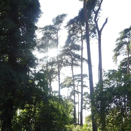 Dom wakacyjny 8 Person In Bogense-by Traum Bogense