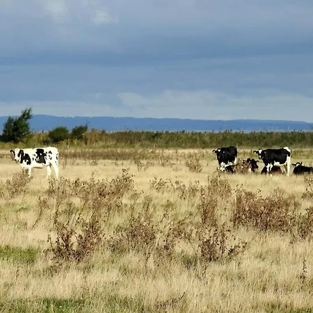 8 Person In Bogense-by Traum Dom wakacyjny *
