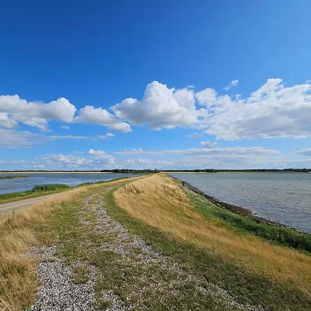 Dom wakacyjny 8 Person In Bogense-by Traum *